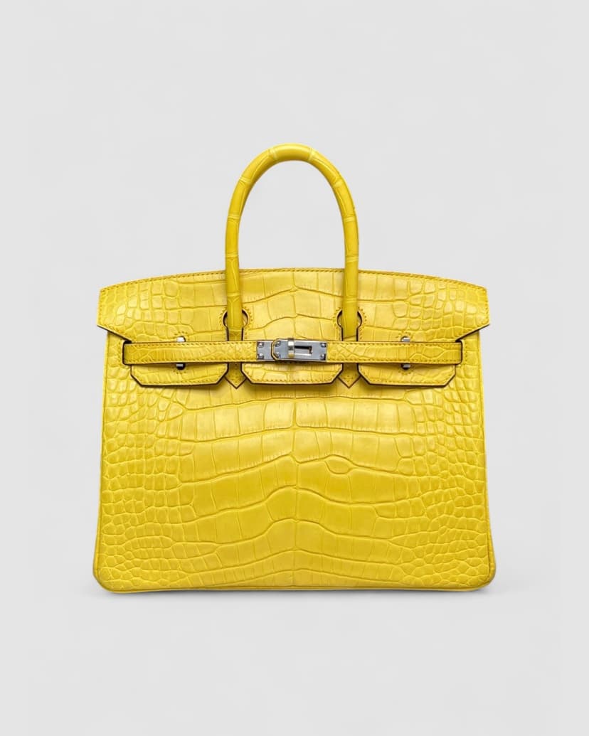 Hermes Birkin 25