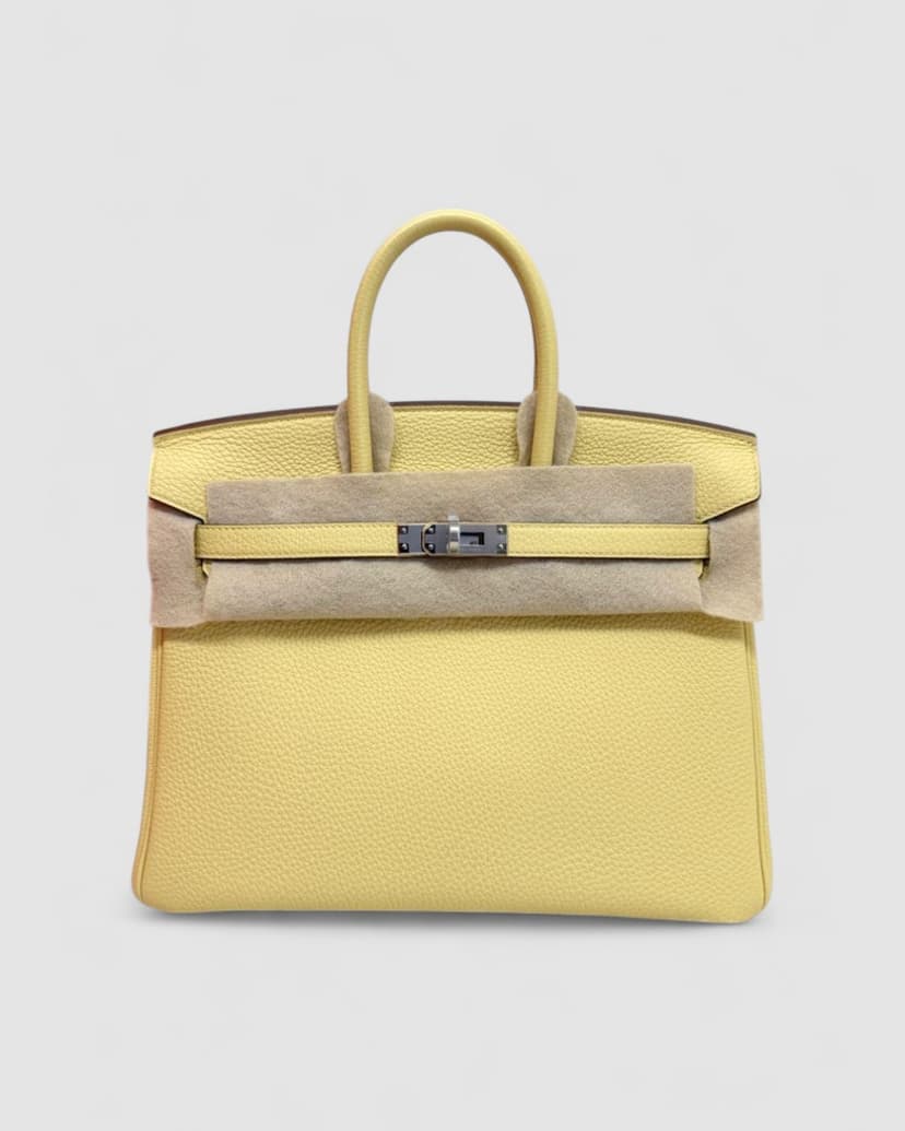 Hermes Birkin 25