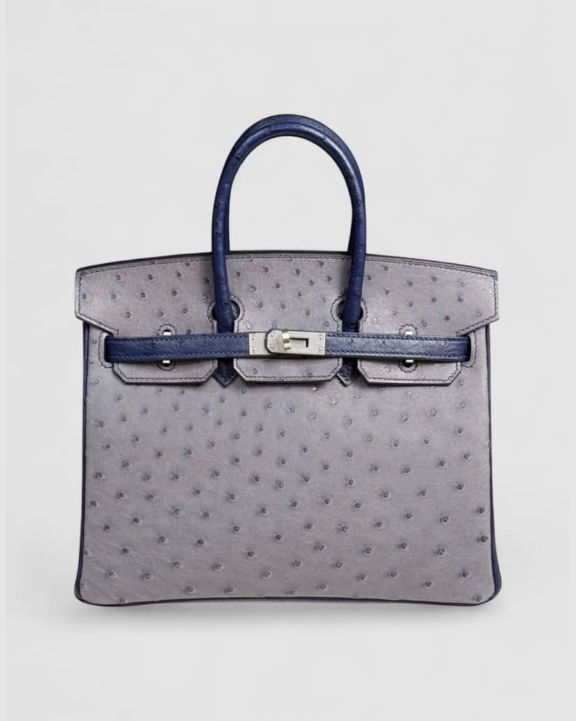 Hermes Birkin 25