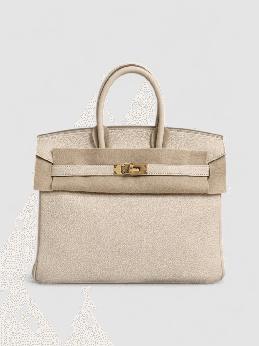 Hermes Birkin 25