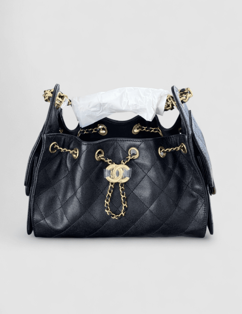 Chanel Chanel 25 Mini