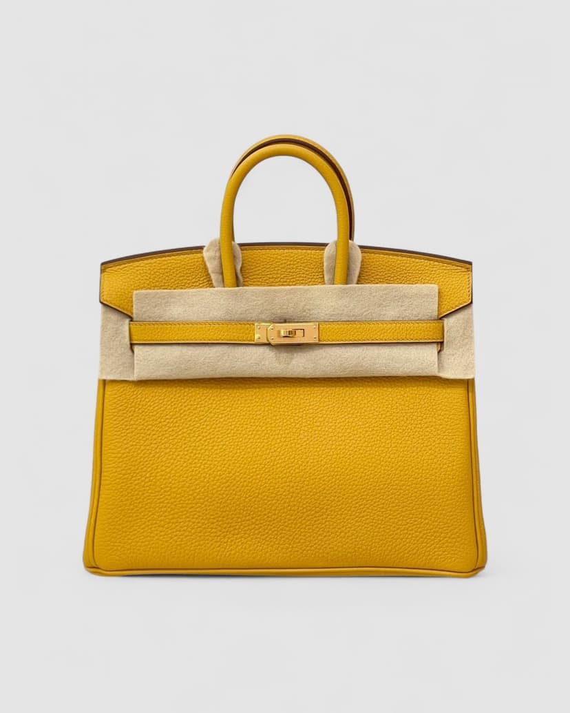 Hermes Birkin 25