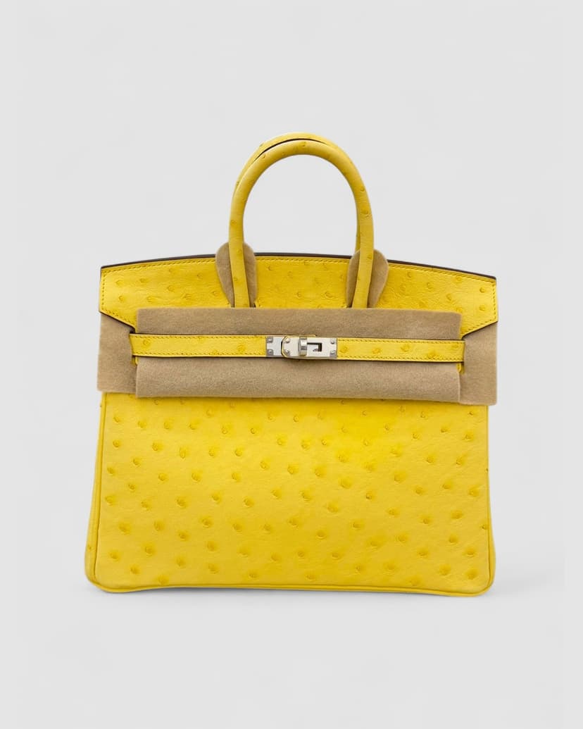 Hermes Birkin 25