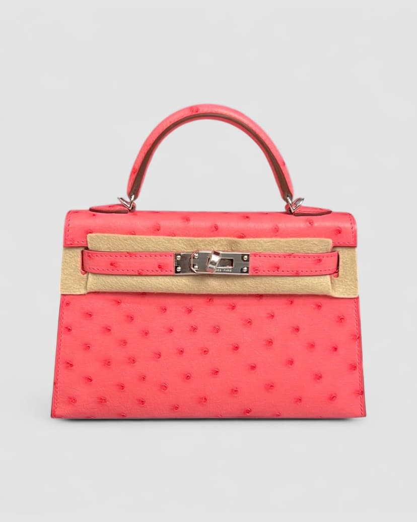 Hermes Mini Kelly K20