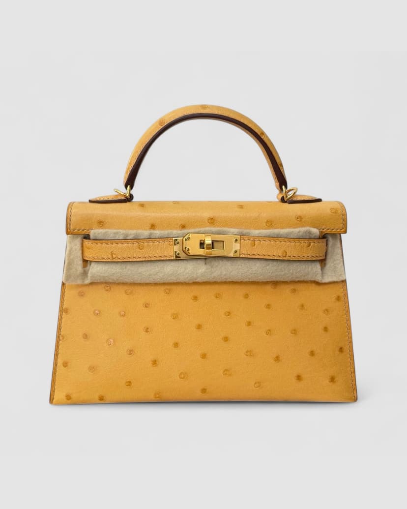 Hermes Mini Kelly K20